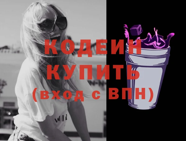 дживик Богородицк