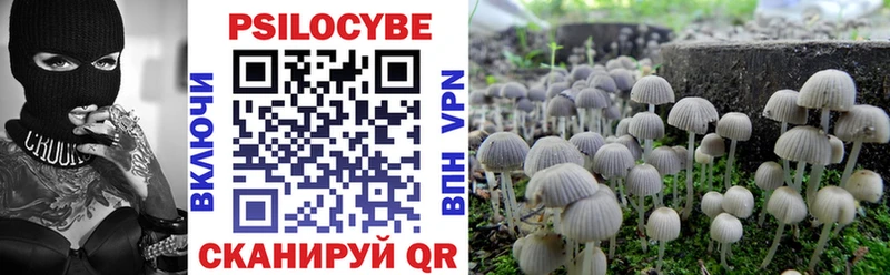 Псилоцибиновые грибы Psilocybine cubensis  Белёв 